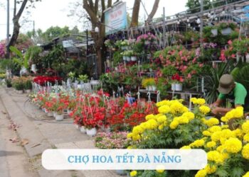 Khám phá chợ hoa Tết Đà Nẵng 2025 cực đẹp và sôi động
