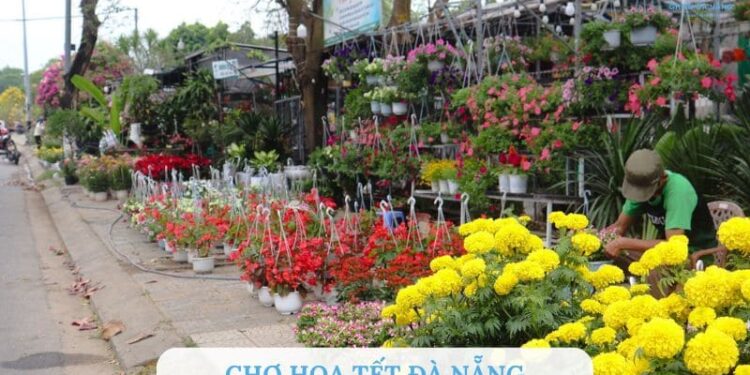 Khám phá chợ hoa Tết Đà Nẵng 2025 cực đẹp và sôi động