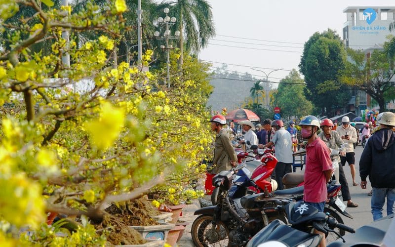 Chợ hoa Tết Đà Nẵng đường cách mạng Tháng 8