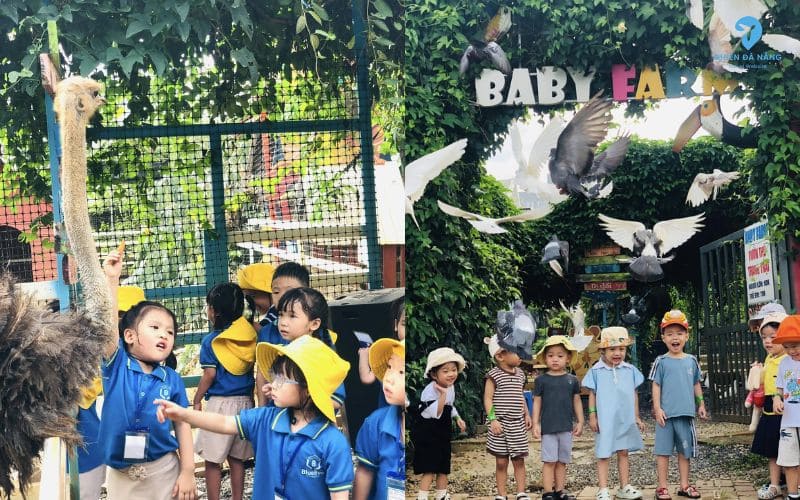 Khu vui chơi trẻ em Baby Farm
