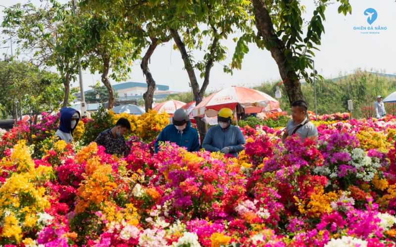 Trải nghiệm chợ hoa Tết tại Đà Nẵng