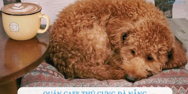 Quán cafe thú cưng đà nẵng
