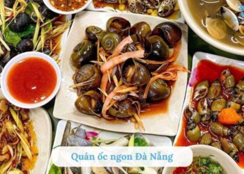 Top 20 quán ốc ngon Đà Nẵng tươi, đậm vị biển, hút khách