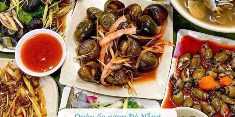 Top 20 quán ốc ngon Đà Nẵng tươi, đậm vị biển, hút khách