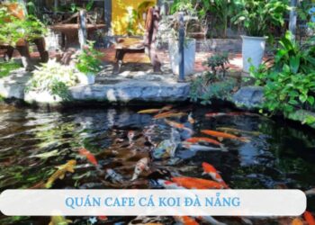 Top 10 quán cafe cá Koi Đà Nẵng đẹp và thoáng đãng nhất