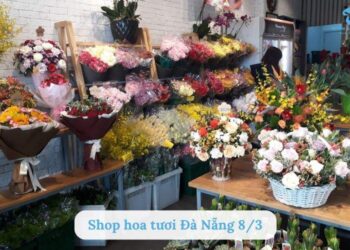 Top 10 shop hoa tươi Đà Nẵng 8/3 - Hoa đẹp, giao nhanh, giá tốt