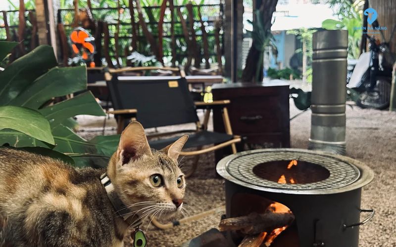 Thái độ phục vụ của Acacia by CaySi cafe