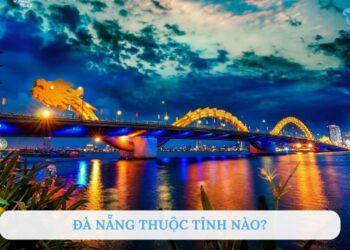 Đà Nẵng thuộc tỉnh nào? Vị trí địa lý trên bản đồ Việt Nam