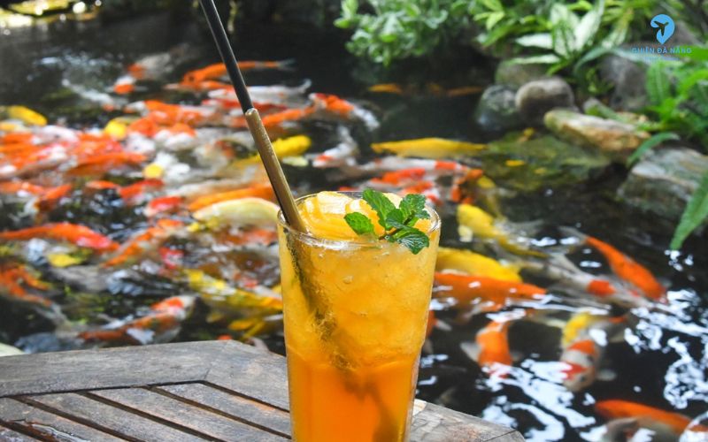 VOỌC Souvenir Coffee chắc chắn là điểm đến không nên bỏ lỡ cho những tâm hồn yêu thiên nhiên