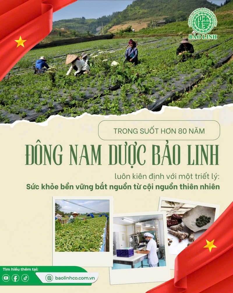Công ty TNHH Đông Nam Dược Bảo Linh