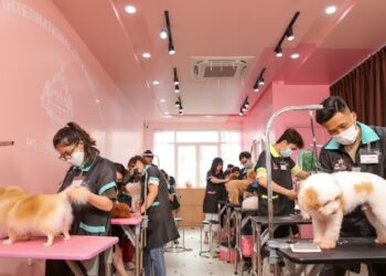 shop thú cưng Đà Nẵng