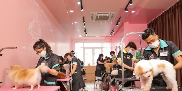 shop thú cưng Đà Nẵng