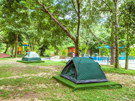 Hoạt động team building sôi động tại khu cắm trại Suối Lương.
