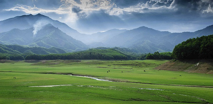 Hồ Hòa Trung Đà Nẵng: Khám phá “Thảo Nguyên Xanh” Tuyệt Đẹp Giữa Lòng Thành Phố