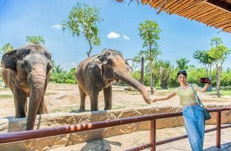 Trải nghiệm vui chơi tại VinWonders Nam Hội An