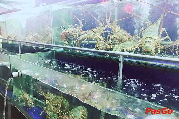 Bể hải sản tươi sống đa dạng tại Nhà hàng Bé Anh 1