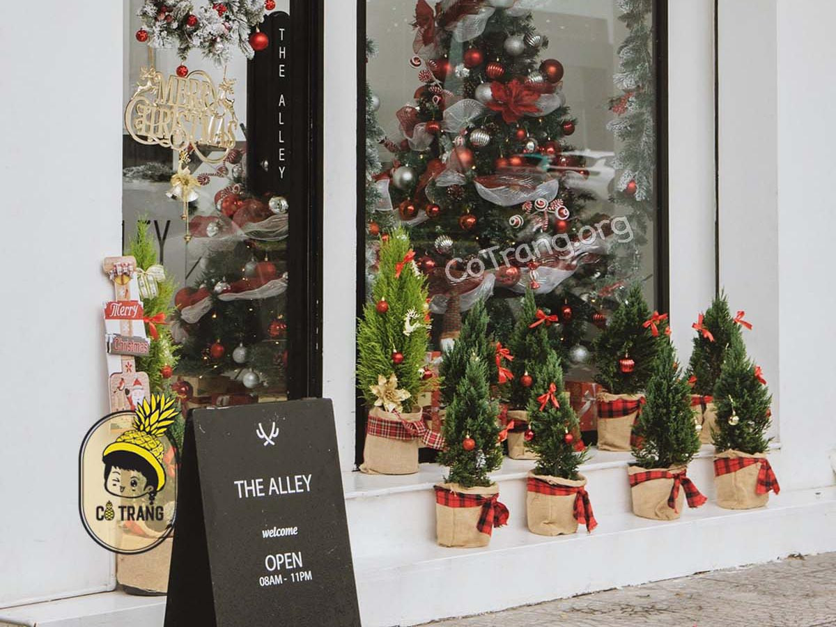 The Alley Đà Nẵng: Điểm Hẹn Trà Sữa Chuẩn Vị Đài Loan Giữa Lòng Thành Phố
