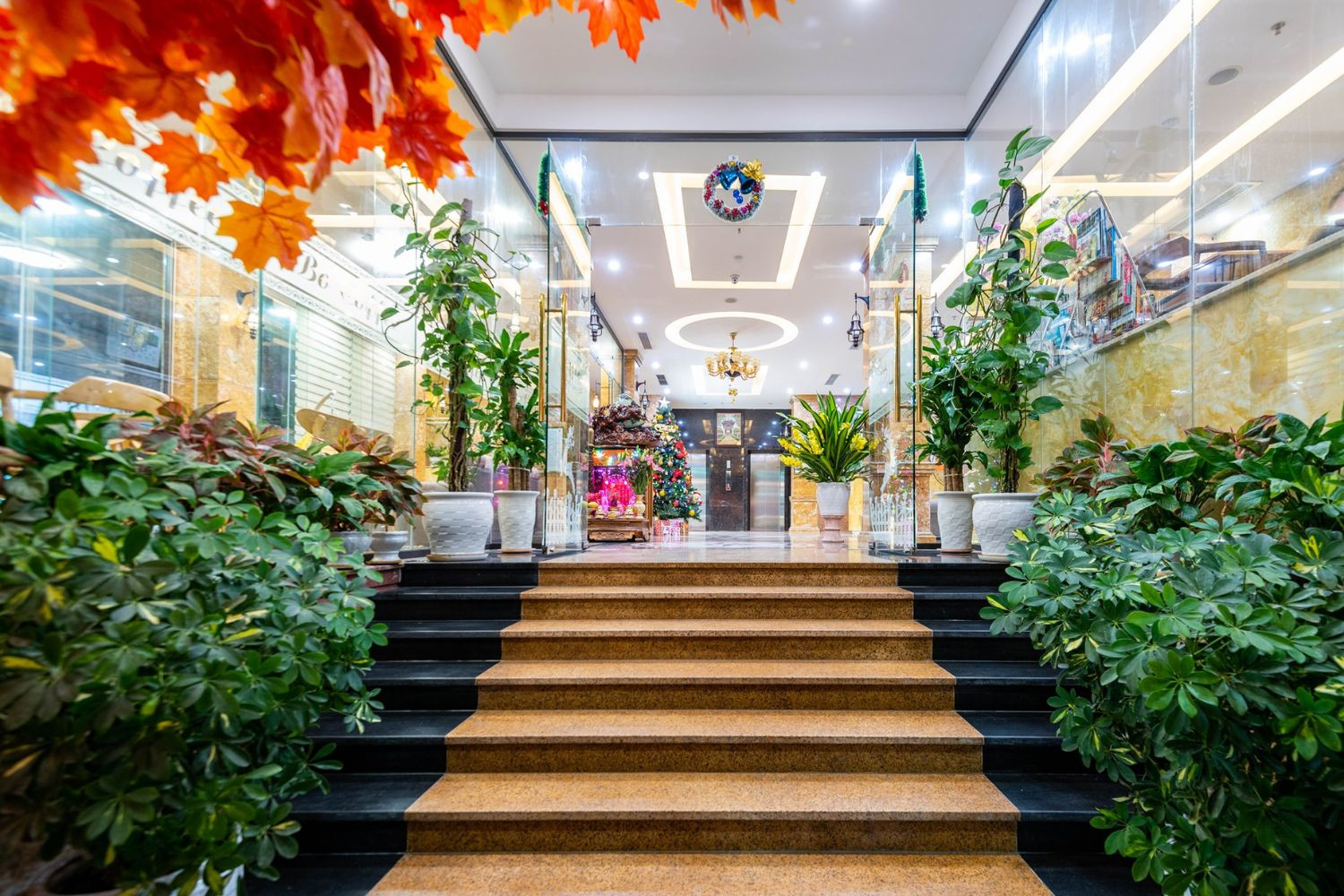 An Thuyen Hotel: Điểm Dừng Chân Lý Tưởng Giữa Lòng Đà Nẵng Biển Xanh