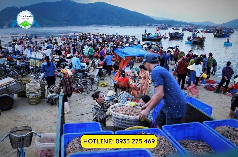 cho hai san da nang 3 4 cho hai san da nang 3