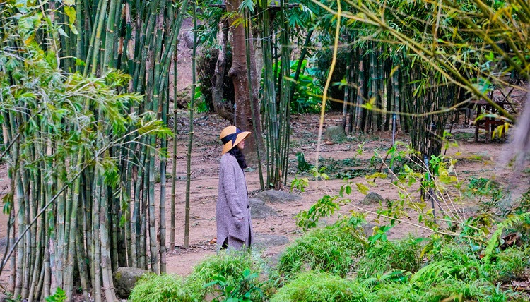 Sơn Trà Tịnh Viên Đà Nẵng