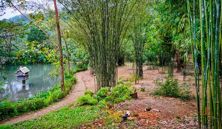 Sơn Trà Tịnh Viên Đà Nẵng