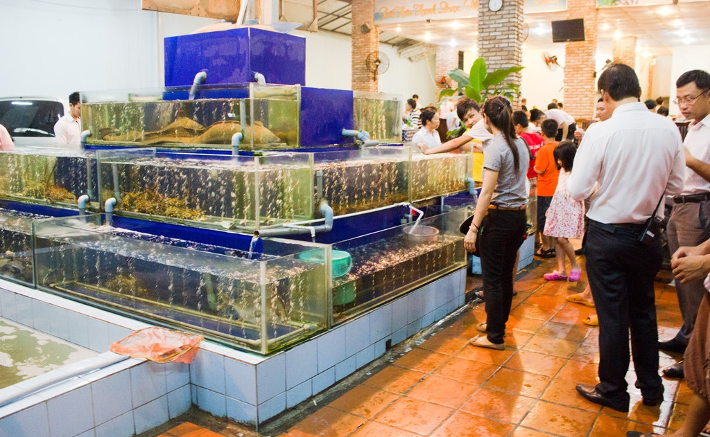 Các bể hải sản tươi sống được trưng bày tại nhà hàng Rạn Biển 9