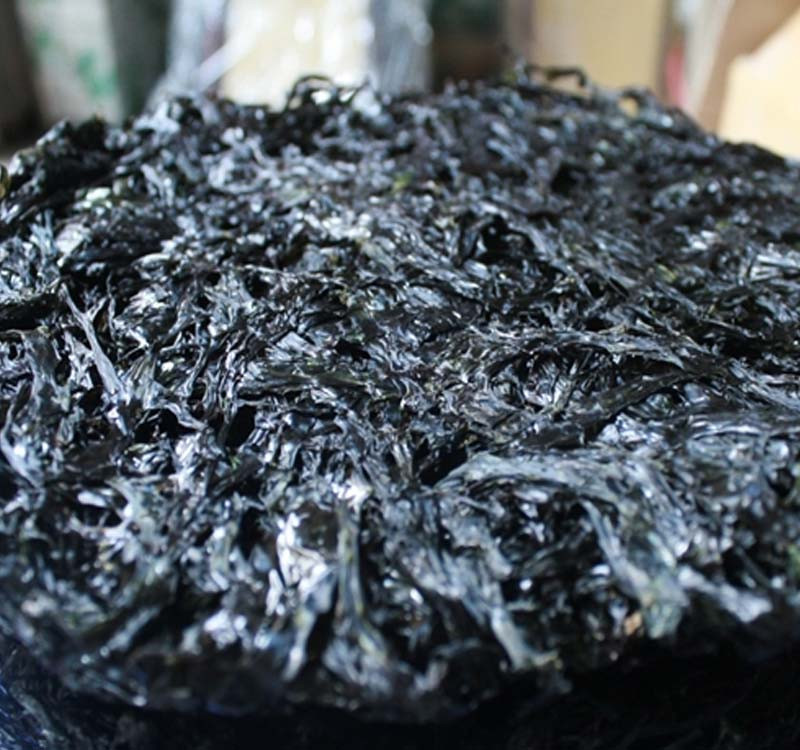 Rong biển khô Đà Nẵng