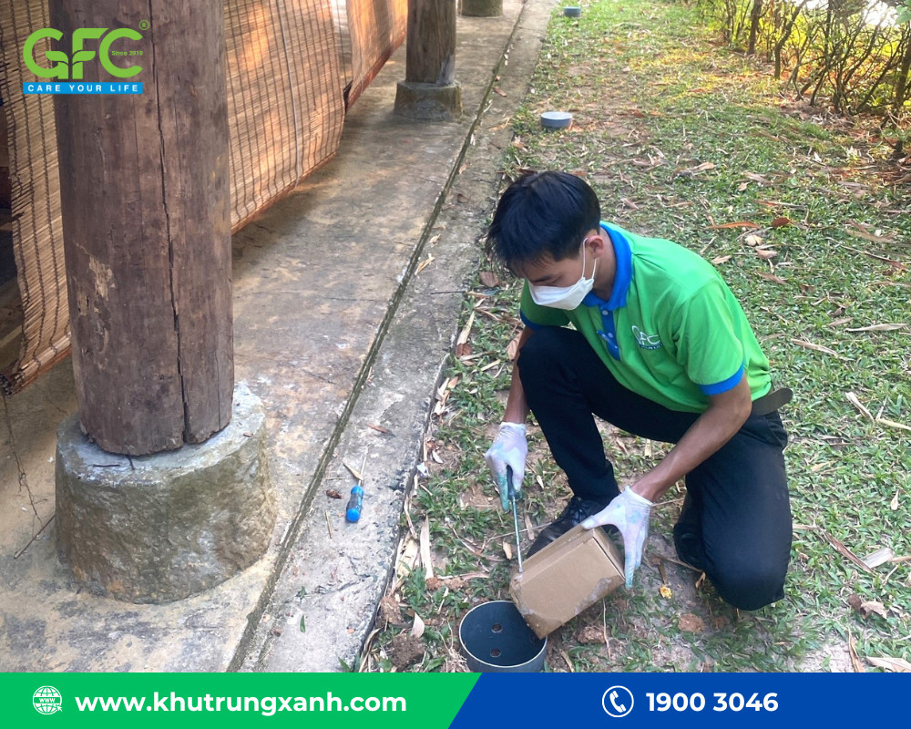 Dịch vụ diệt mối tại Đà Nẵng đảm bảo sự minh bạch và quyền lợi đầy đủ cho khách hàng