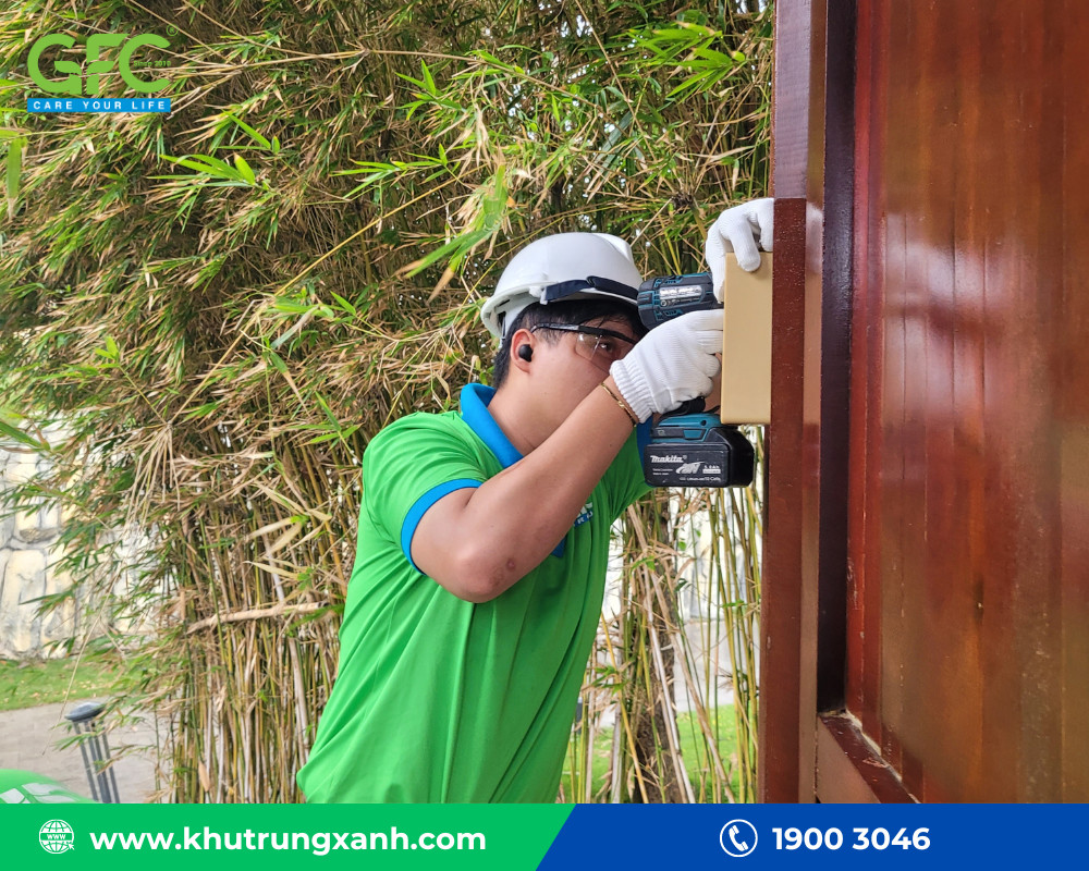 GFC cam kết xử lý triệt để 100% cho khách hàng có nhu cầu diệt mối tại Đà Nẵng