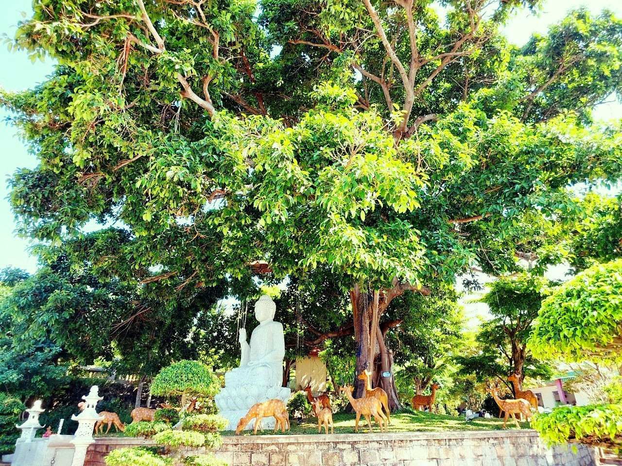 Không gian thanh tịnh, đậm chất thiền, như đưa con người vào chốn bồng lai, xua tan bao ưu phiền.